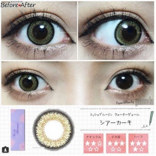 Miche Bloomin No.105 SheerKhaki 30片裝